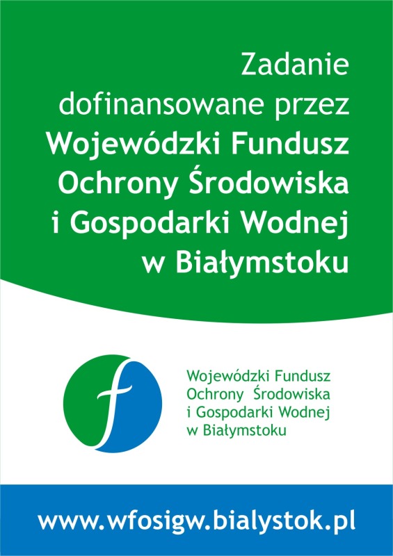 Dzieci z ELEOS nad morzem