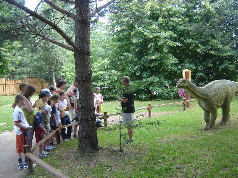 Półkolonie z ELEOS