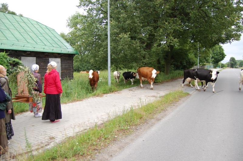 Pielgrzymka Białystok – monaster św. Onufrego w Jabłecznej