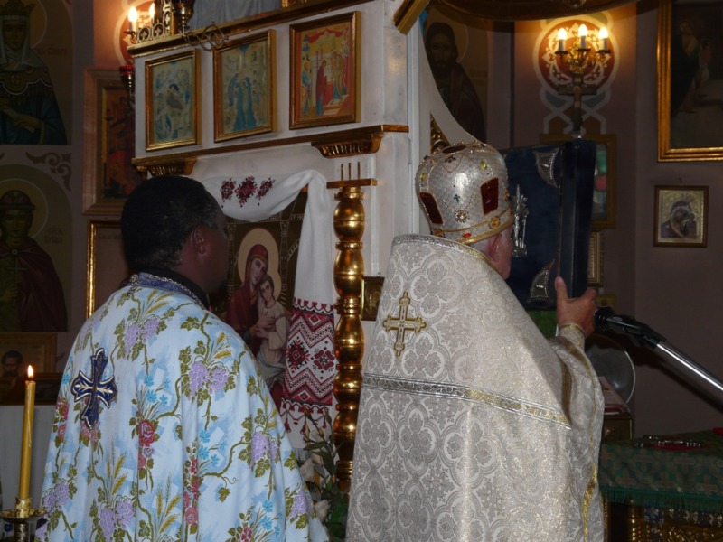 Afryka w Siemianówce