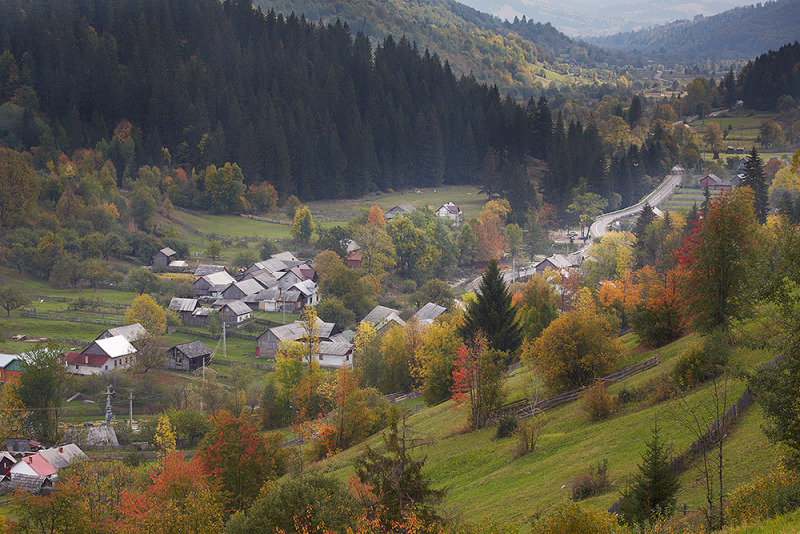 Tajemnicza Bukowina