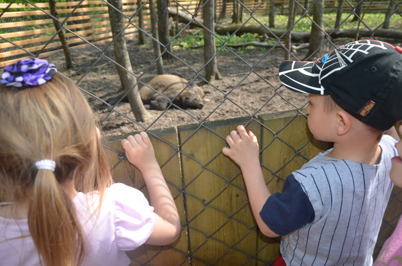 Dzieci z ELEOS na wycieczce w Białowieży