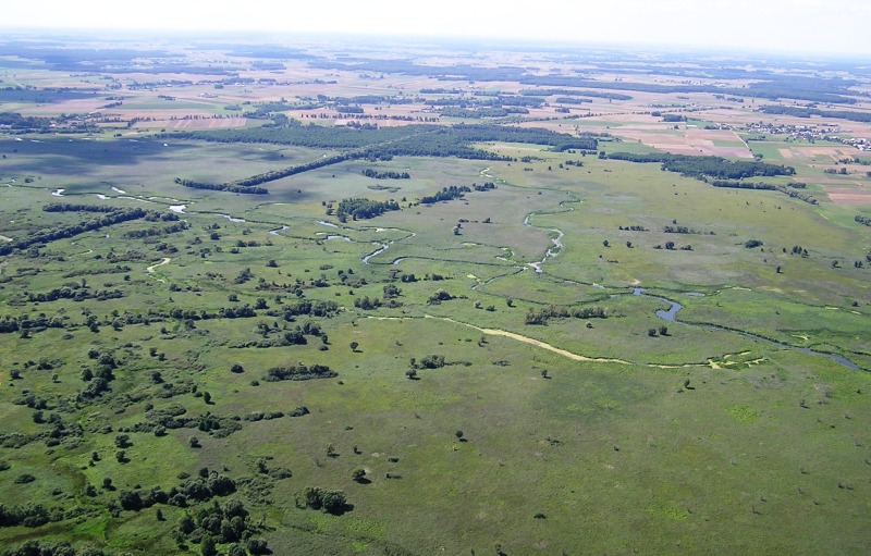 Pomysł na aktywny weekend - Narwiański Park Narodowy