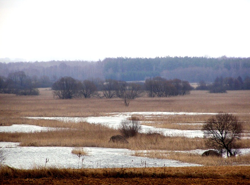 Pomysł na aktywny weekend - Narwiański Park Narodowy
