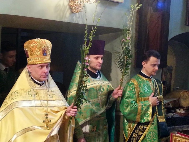 Lubelska katedra – Wjazd Chrystusa do Jerozolimy