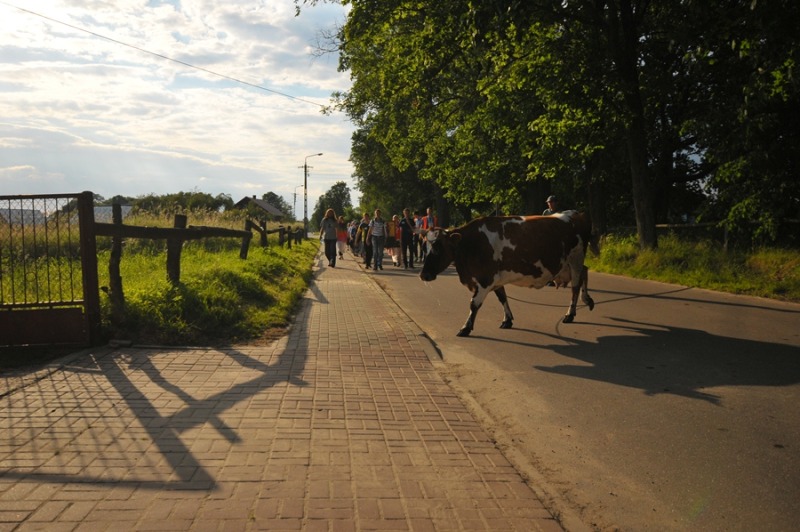 Ku czci świętego Onufrego Wielkiego