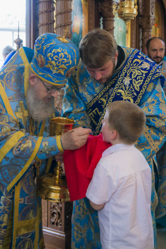 Uroczystości ku czci Turkowickiej Ikony Matki Bożej