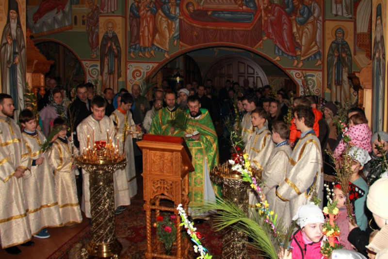 Niedziela Palmowa 2015