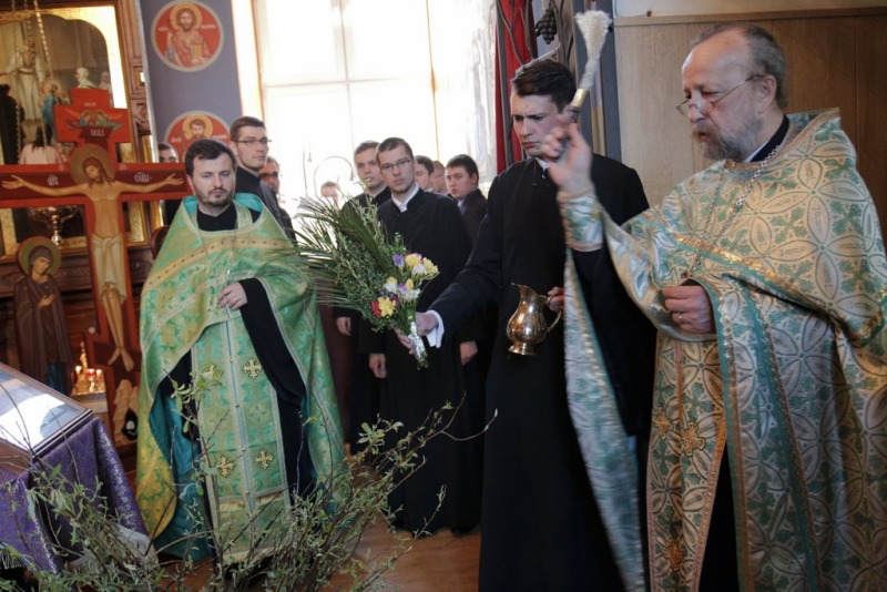 Niedziela Palmowa 2015