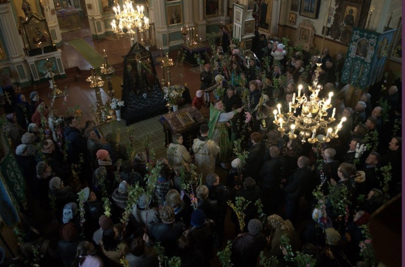 Niedziela Palmowa 2015