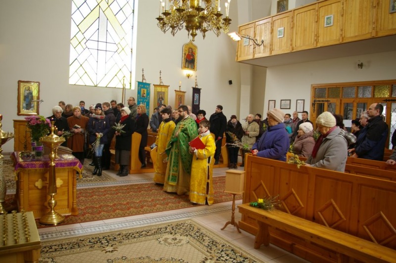 Niedziela Palmowa 2015