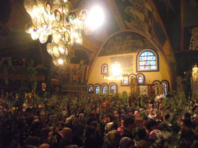 Niedziela Palmowa 2015