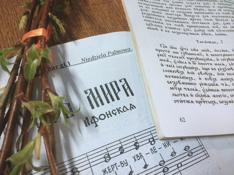 Niedziela Palmowa 2015