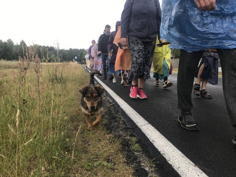 XXVII Pielgrzymka Białystok - Jabłeczna dotarła do celu