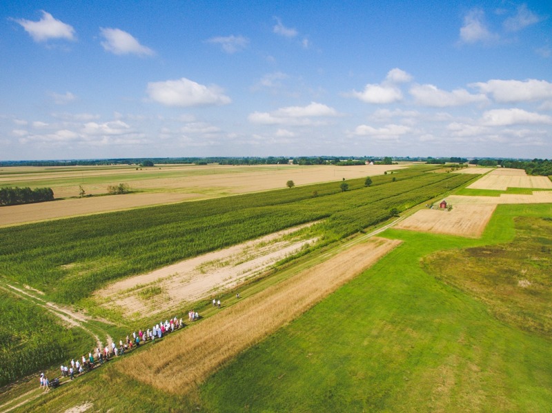 Kazańskiej Ikony Matki Bożej w Hajnówce