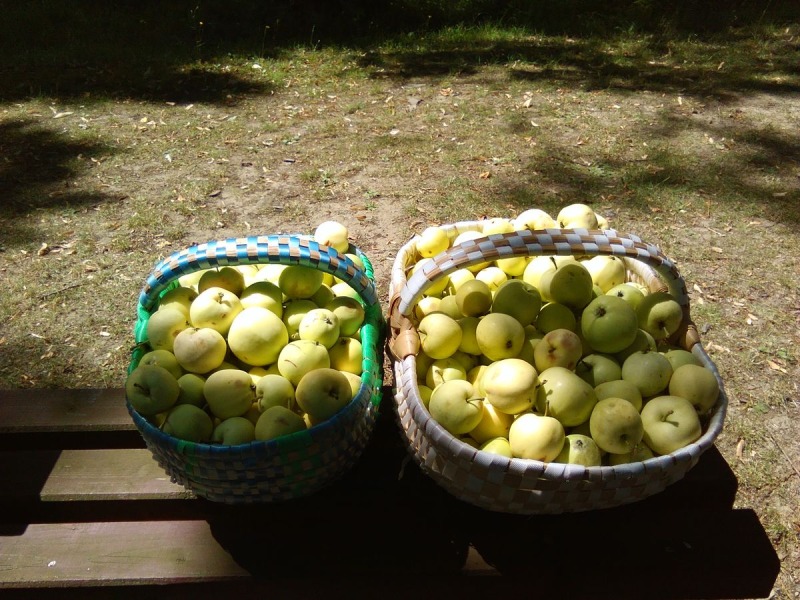 Wspomnienia pielgrzyma: Święta Góra Jawor