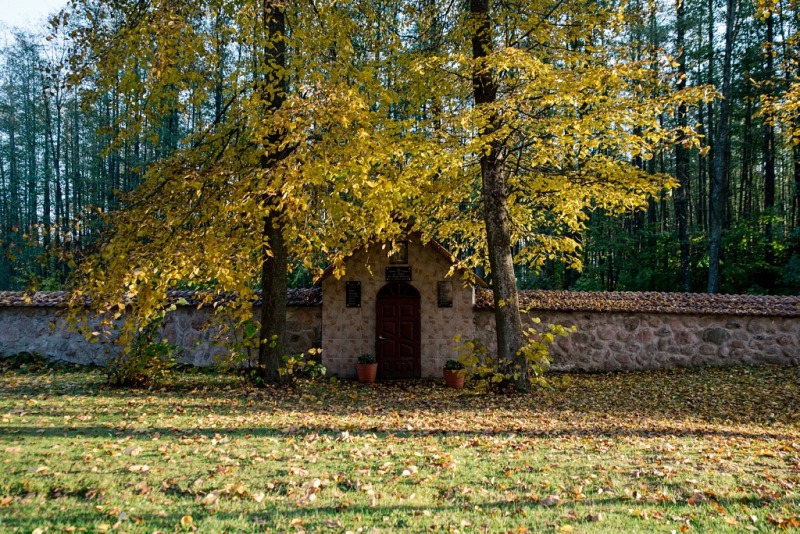 Opieki Matki Bożej w Puchłach