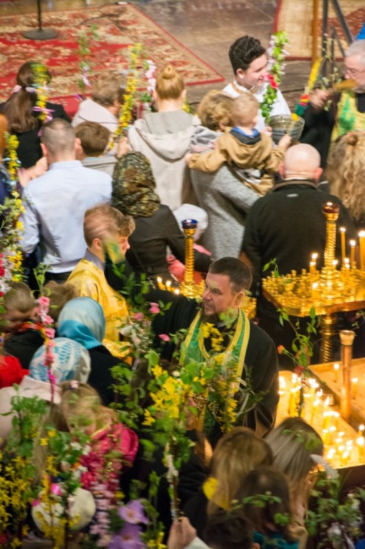 Niedziela Palmowa 2019 r.
