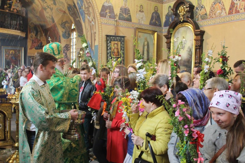 Niedziela Palmowa 2019 r.