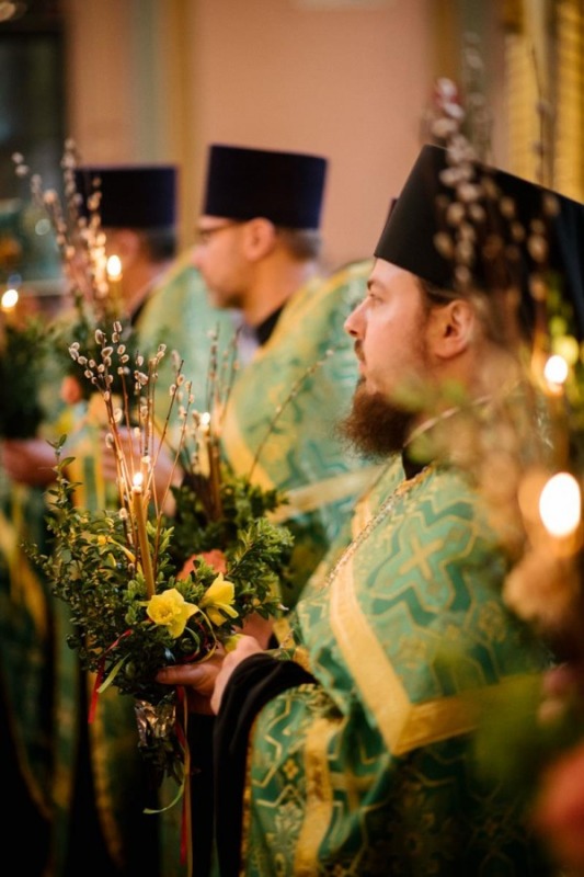Niedziela Palmowa 2019 r.