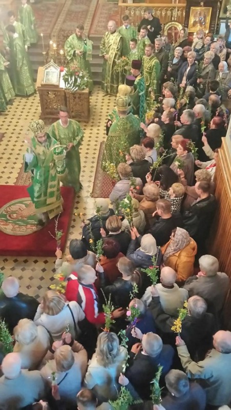 Niedziela Palmowa 2019 r.