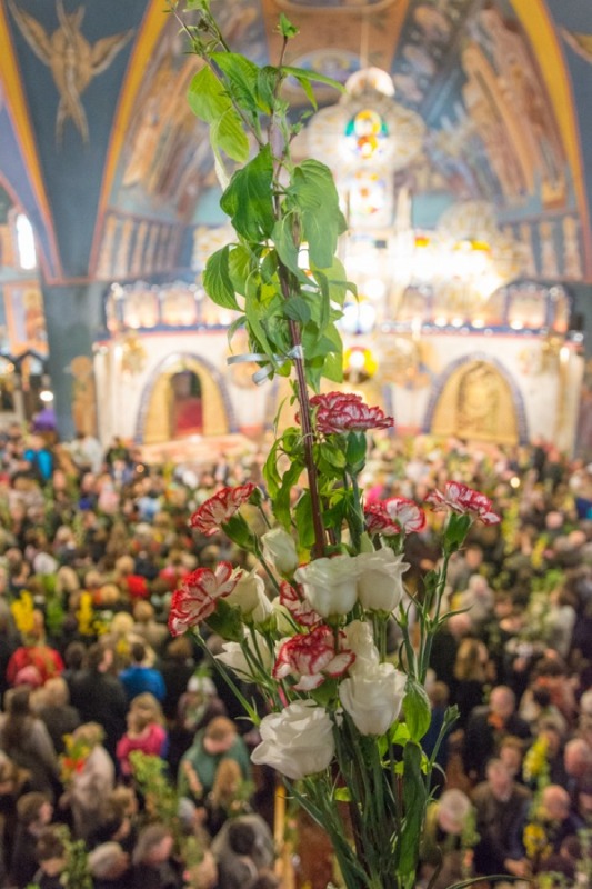 Niedziela Palmowa 2019 r.