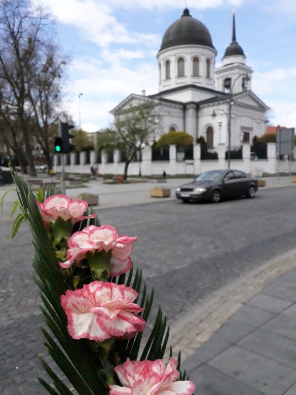 Niedziela Palmowa 2019 r.