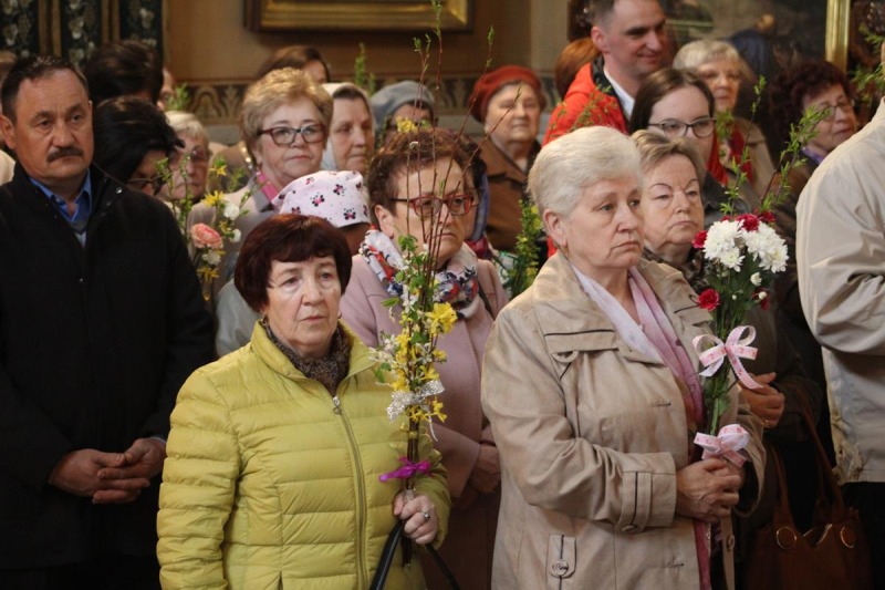 Niedziela Palmowa 2019 r.