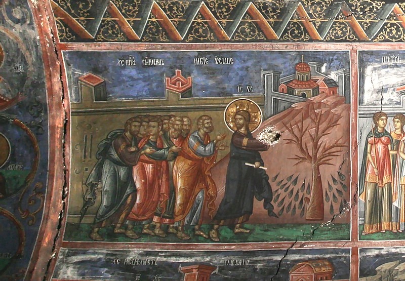 Wielki Poniedziałek. Przeklęcie drzewa figowego. Pećka Patrijaršija , XIV wiek.
