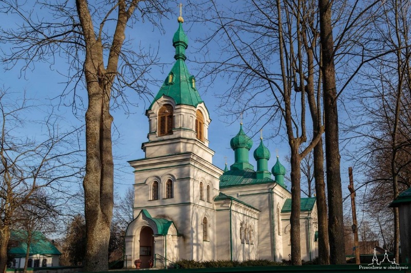 Zielony