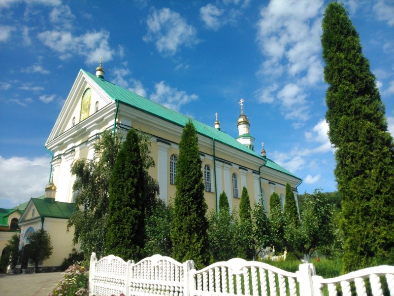 Zielony