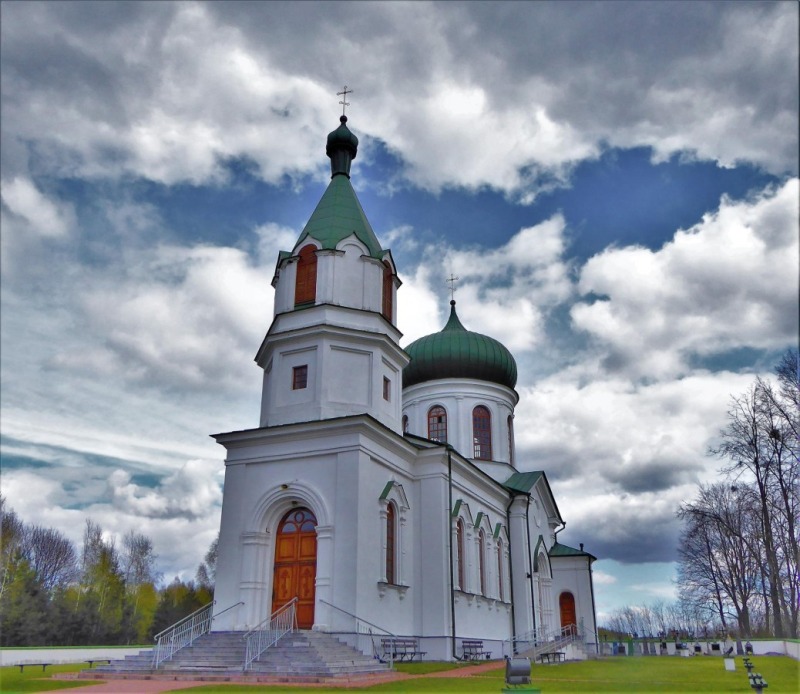 Zielony