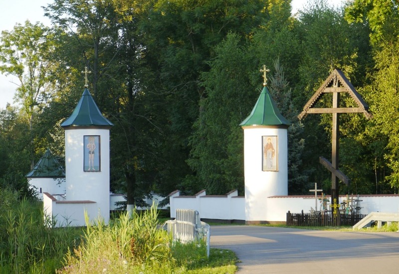 Zielony