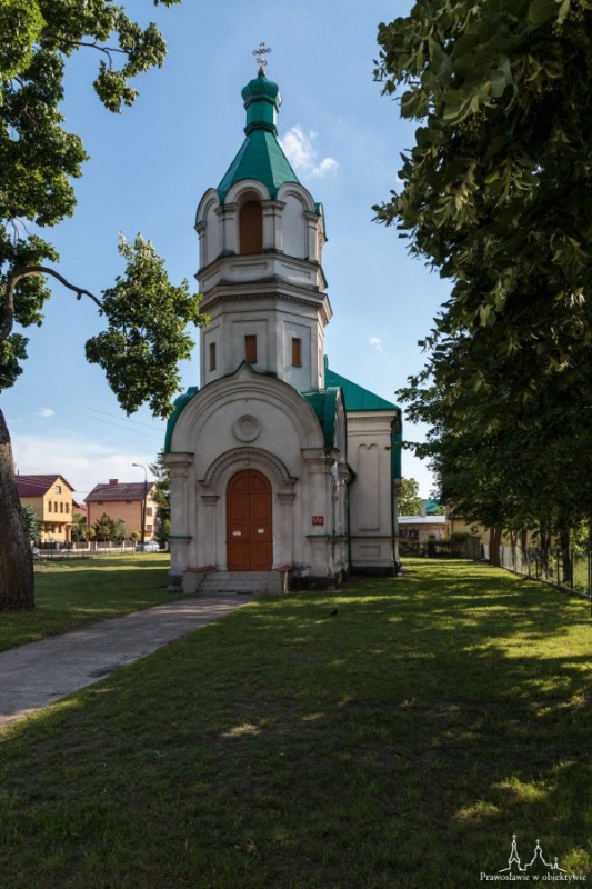 Zielony