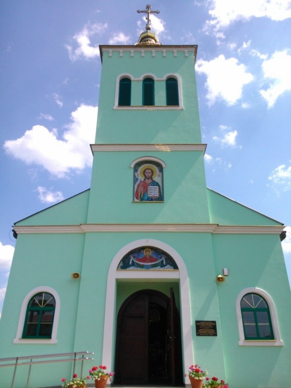 Zielony
