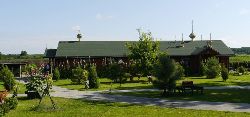 Zielony