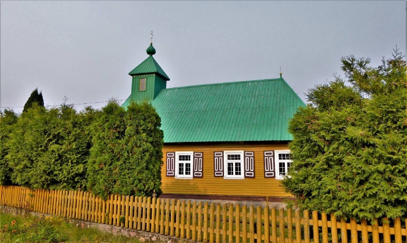 Zielony
