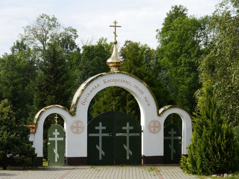 Zielony