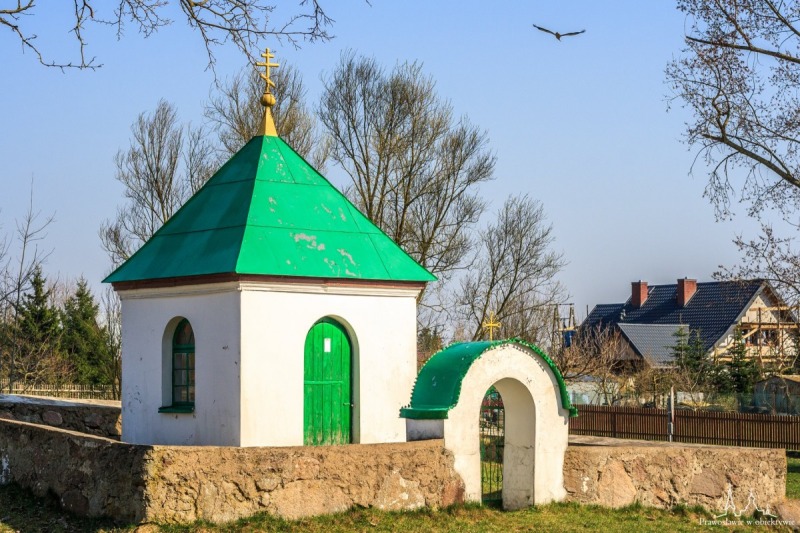 Zielony