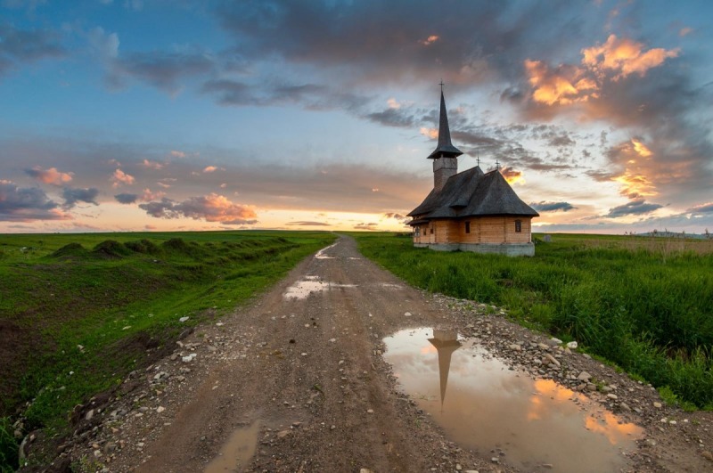 OrthPhoto Awards, nagrodzone prace #1