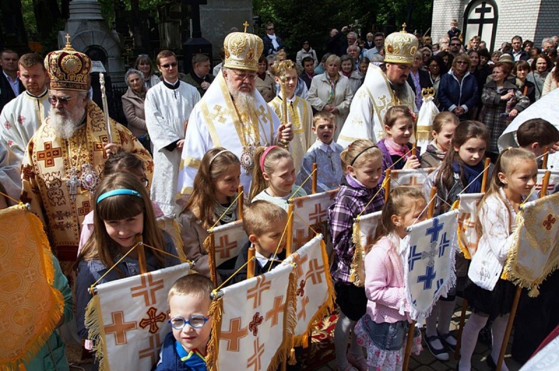 OrthPhoto Awards, nagrodzone prace #1