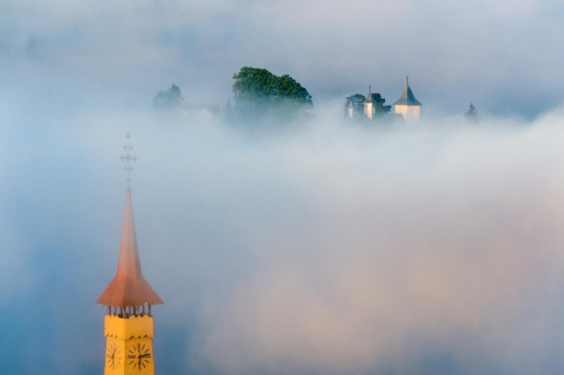 OrthPhoto Awards, nagrodzone prace #1