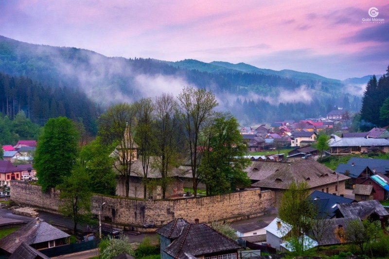 OrthPhoto Awards, nagrodzone prace #1