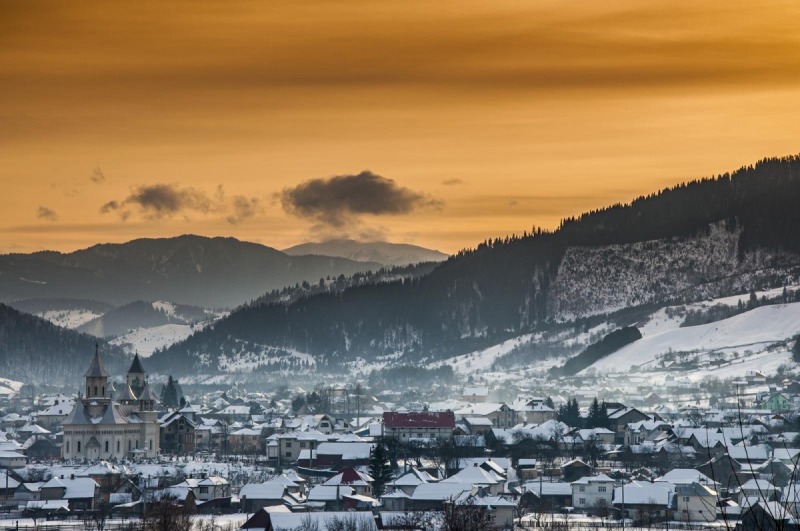 OrthPhoto Awards, nagrodzone prace #1