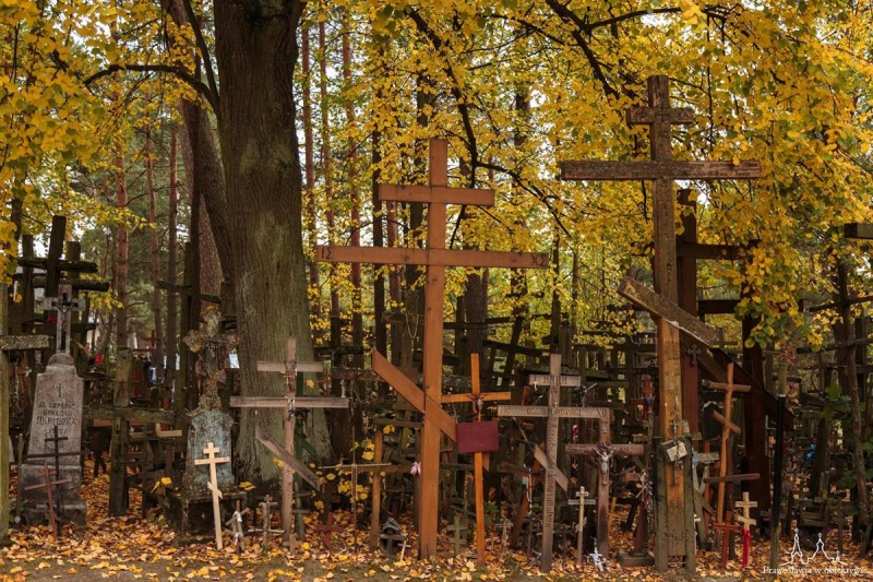 Jesień 2019 r.