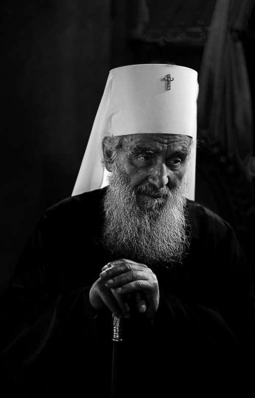 OrthPhoto Awards, nagrodzone prace #2