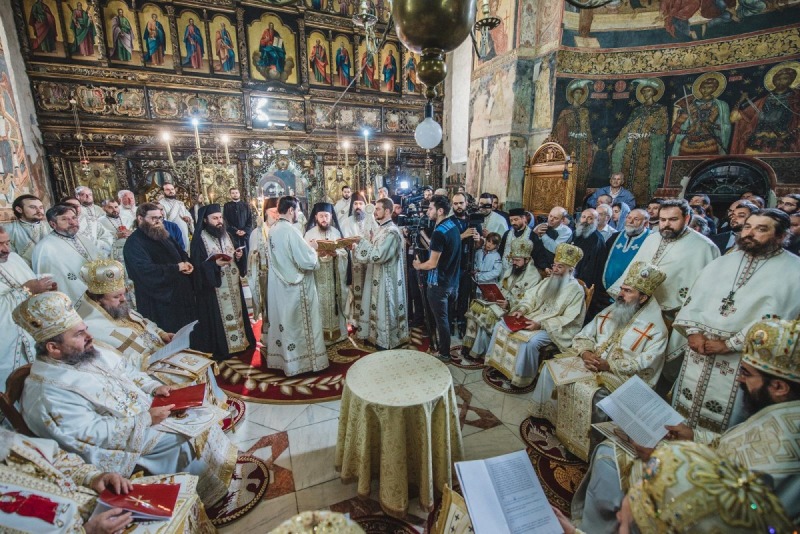 OrthPhoto Awards, nagrodzone prace #2