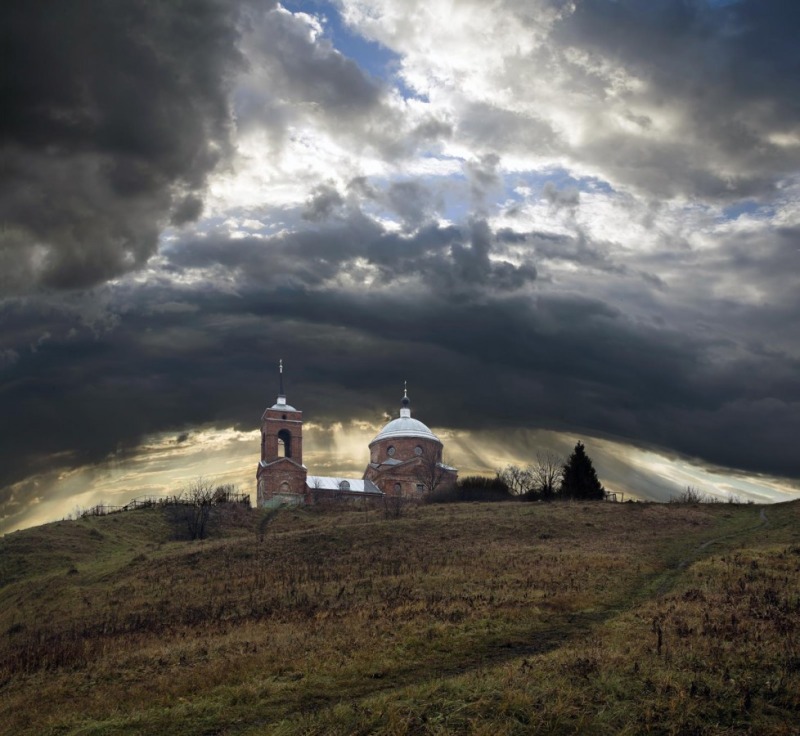 OrthPhoto Awards, nagrodzone prace #2