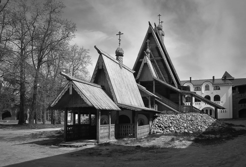 OrthPhoto Awards, nagrodzone prace #2