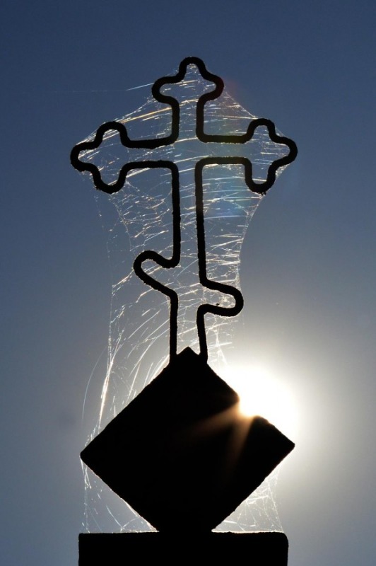 OrthPhoto Awards, nagrodzone prace #2